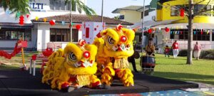 WhatsApp Image 2026-02-13 at 10.32.17 AM